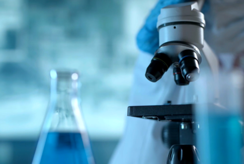 Θεσσαλονίκη: “Το Ασχημόπαπο” και η “Φάρμα των Ζώων” από τον Μικρό Βορρά