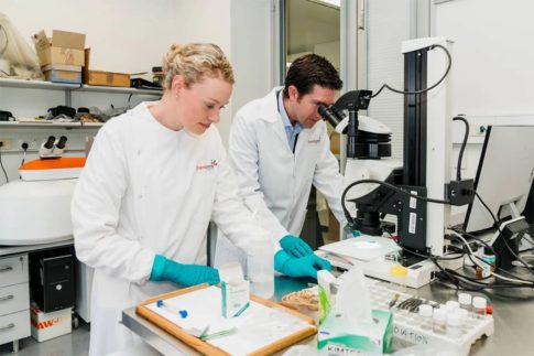 Scientific American: Αυτές είναι οι επιστημονικές εξελίξεις που θα μας απασχολήσουν το 2026