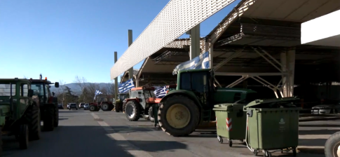 Μυτιλήνη: Δράσεις αγάπης για ζώα και περιβάλλον στο χριστουγεννιάτικο χωριό