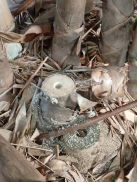 Χρηματοδοτούνται με 54 εκ. ευρώ δύο σχολεία σε Χανιά και Ηράκλειο