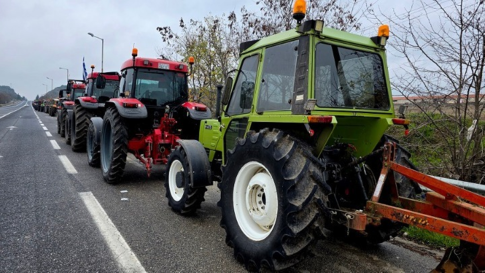 <strong>Νέα Τεχνική Έκθεση της EFSA για την Επιτήρηση Φυτικών Παρασίτων</strong>