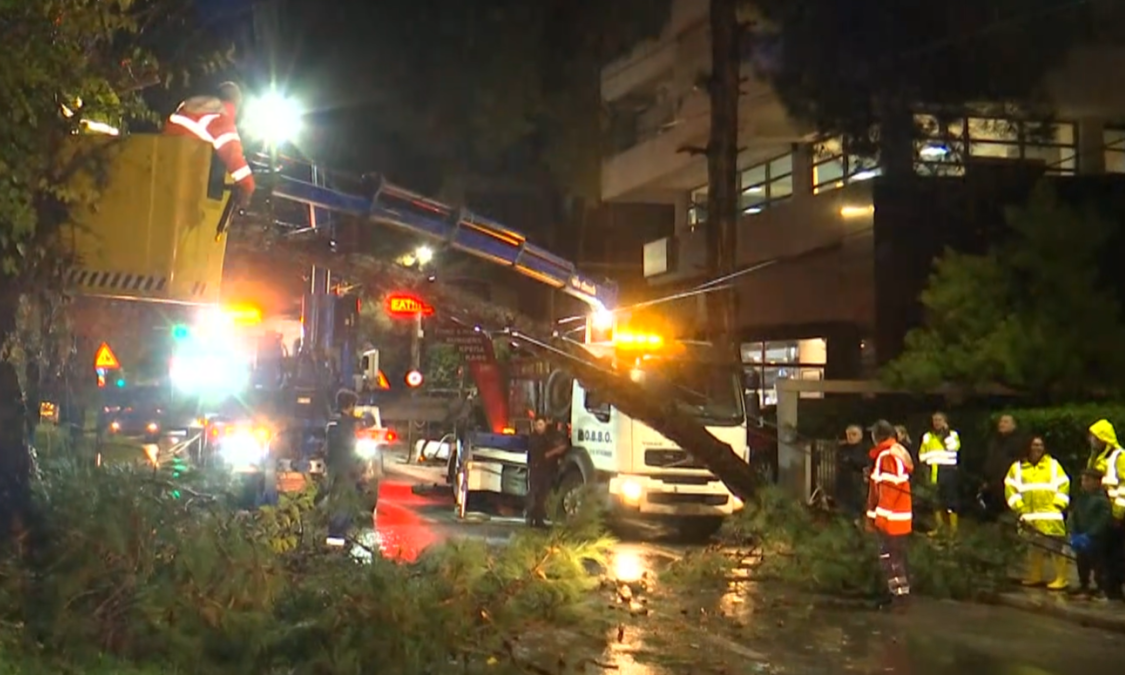 Χαλάνδρι: Πτώση δέντρου στην Παπανικολή – Επί ποδός συνεργείο για την απομάκρυνσή του