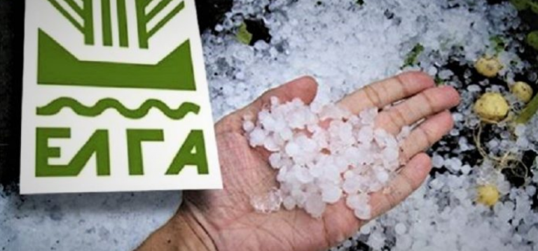 Δήμος Ευρώτα : Αναγγελίες ζημιάς από το τελευταίο χαλάζι