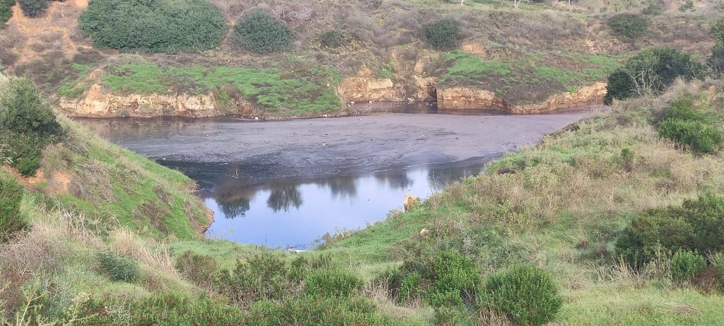 Έριχναν βοθρολύματα σε ορεινή περιοχή της Χαλκιδικής – Τέσσερις συλλήψεις