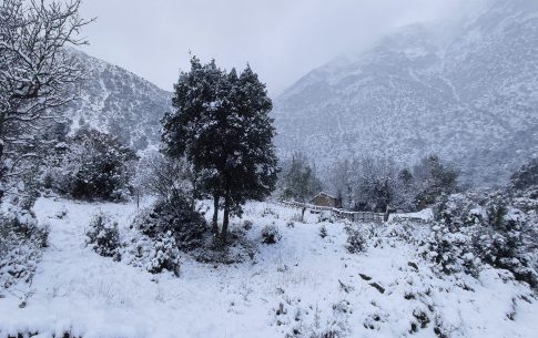 Στα δύο κόβεται η Ελλάδα με αποκλεισμούς και παρακαμπτήριων: Οι αγρότες έκλεισαν επ’ αόριστον την Εθνική Αντιρρίου – Ιωαννίνων