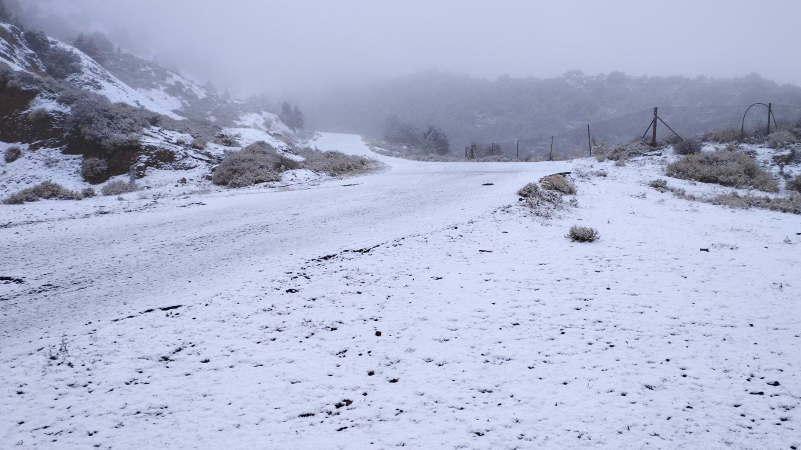 Ο εκπαιδευτής της ελληνικής ομάδας διάσωσης εξηγεί στο ΕΡΤnews πώς συνέβη η τραγωδία στα Βαρδούσια – Τι συμβαίνει στο σώμα αν χτυπηθεί από χιονοστιβάδα