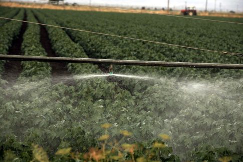 <strong>Ροδόπη: Μουσικές από τα ωδεία της πόλης ταξιδεύουν το κοινό της Κομοτηνής</strong>