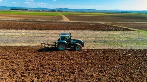 Διαδικτυακή ξενάγηση </br> στο «Μπλε Σπίτι» της Φρίντα Κάλο