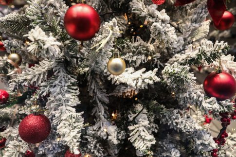 Νεκρό κοριτσάκι στο Παλαιό Φάληρο: Η μητέρα υποστήριξε ότι το παιδί ήταν άρρωστο και φοβήθηκε να το πάει στο νοσοκομείο γιατί δεν είχε άδεια παραμονής