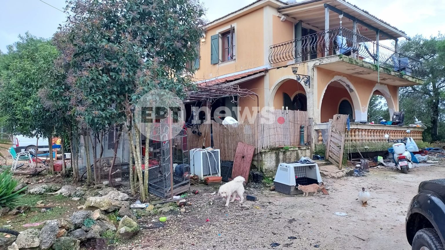 Ζάκυνθος: «Δεν μπορούσαν να πάρουν το παιδί από τα δόντια του πιτ μπουλ» – Σε σοκ οι γιατροί από την εικόνα του 2χρονου