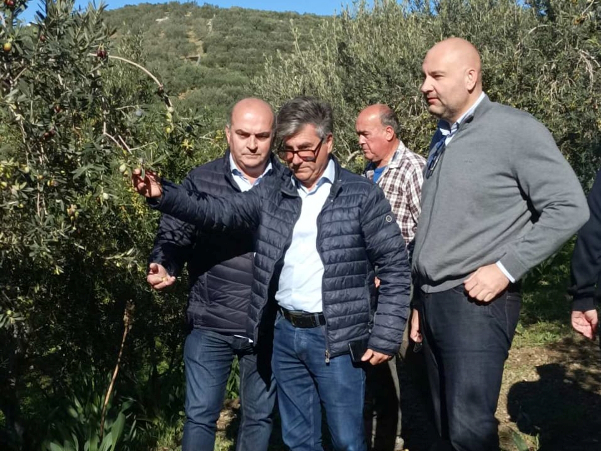 Κακοκαιρία Adel : Aυτοψία και αρχική καταγραφή ζημιάς στην Ερμιονίδα