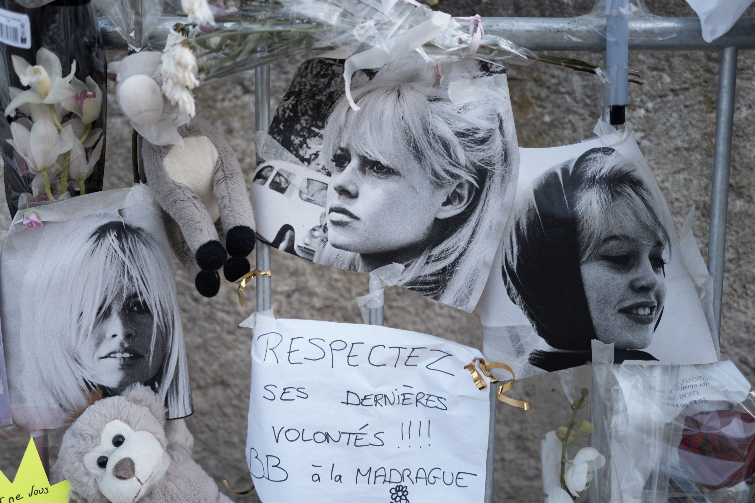 Μπριζίτ Μπαρντό: O σύζυγός της αποκάλυψε την αιτία θανάτου της – Με θέα τη Μεσόγειο το τελευταίο αντίο (Live εικόνα)