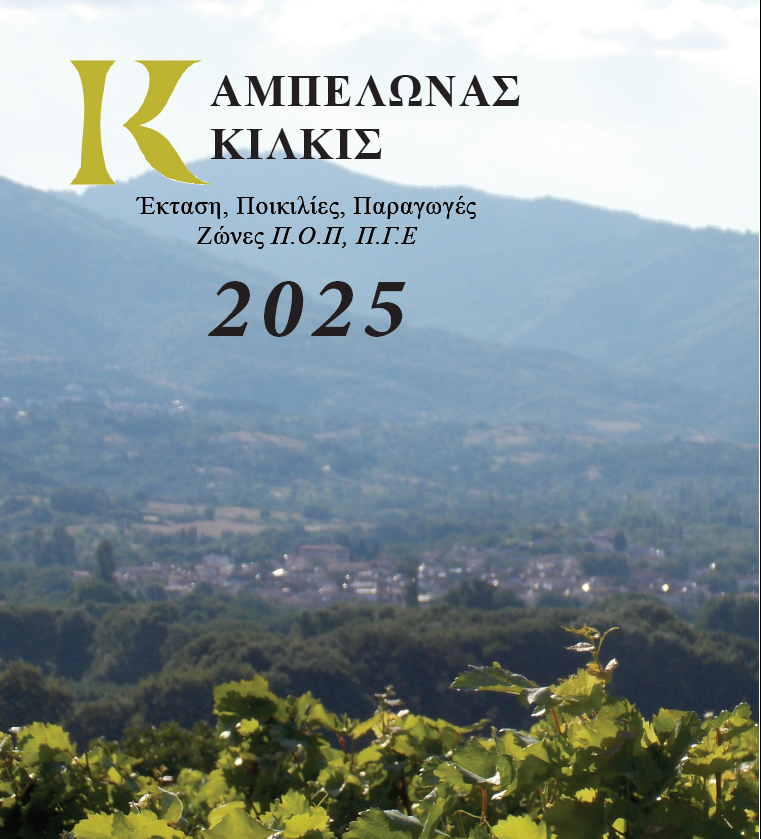 Σε ποσοστό άνω του 60% αυξήθηκε μεταξύ 2008 και 2025 η έκταση του Αμπελώνα Κιλκίς