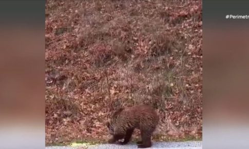 Το Θέατρο Τ διοργανώνει τριήμερο σεμινάριο<br>με τη σκηνοθέτη Γεωργία Μαυραγάνη