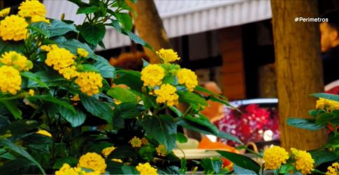 Το Θέατρο Τ διοργανώνει τριήμερο σεμινάριο<br>με τη σκηνοθέτη Γεωργία Μαυραγάνη