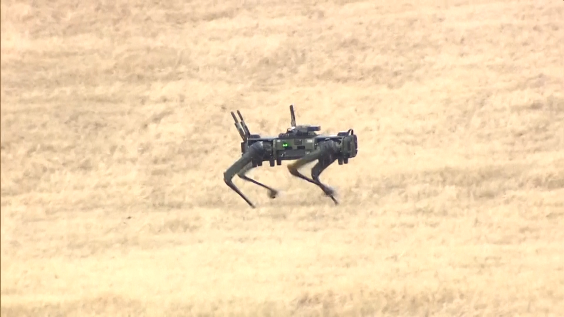 Τετράποδα ρομπότ στο πεδίο άσκησης των Ιαπωνικών δυνάμεων άμυνας
