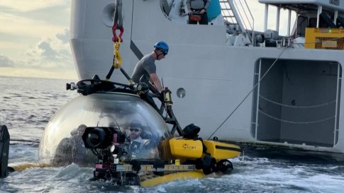 «Υποκινητής ταραχών» κατά τον Τραμπ, ο 37χρονος Πρέτι που έπεσε νεκρός από πυρά της ICE στη Μινεάπολη