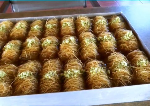 Θεσσαλονίκη: Διανομές ζωοτροφών για τα αδέσποτα από τον δήμο Ωραιοκάστρου