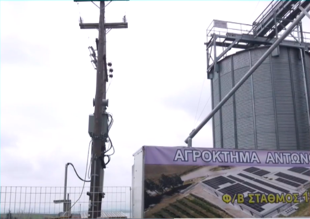 Δημητριακά και υγεία- Γηγενείς σπόροι