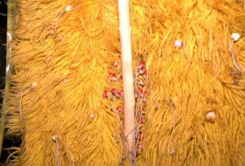 Φωταγωγήθηκε το Βυζαντινό Φρούριο στο Παλαιό Γυναικόκαστρο Κιλκίς