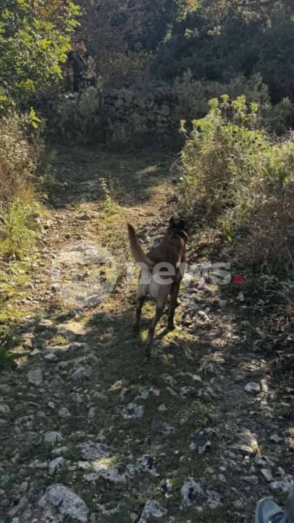Χανιά: Με drones, σκυλιά και κάμερες οι έρευνες για τον 33χρονο γιατρό στον Αποκόρωνα – Αγνοείται από τις 7 Δεκεμβρίου