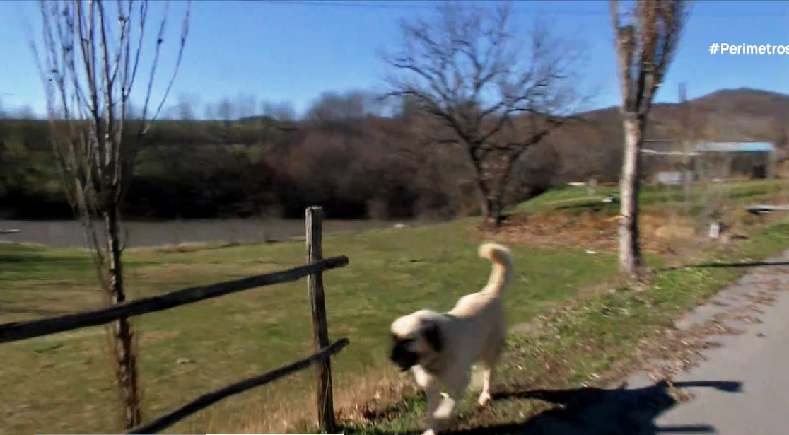 Βάθη Κιλκίς: Από τη φάρμα στο πιάτο