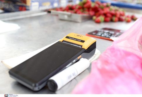 Φωτεινή Κυριαζοπούλου: Παράνομες πρακτικές και εξορίες αδέσποτων – Ο Δήμος αγνοεί τον νόμο