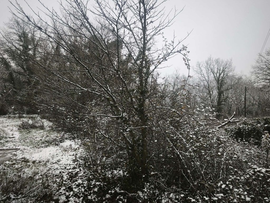 Στο «μάτι» της κακοκαιρίας η Ήπειρος – Λευκό τοπίο και η πόλη των Ιωαννίνων