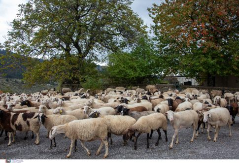 Στάση αναμονής από Τραμπ έναντι του Ιράν: Αναφέρει ότι σταμάτησαν οι εκτελέσεις, αλλά δεν αποκλείει στρατιωτική επέμβαση