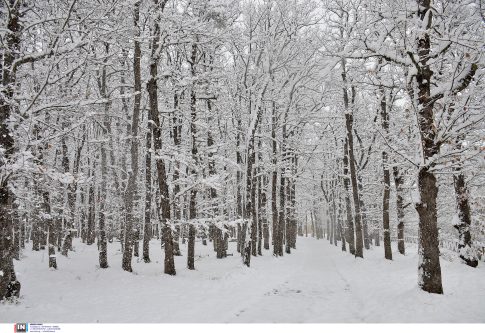 Παρανάλωμα πυρός εκκλησία του 1800 στο Άμστερνταμ – Υποψίες για εμπρησμό με πυροτεχνήματα