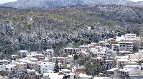 30<sup>η</sup> Agrotica: Κοινή περιήγηση για τον Αρχιεπίσκοπο Αθηνών Ιερώνυμο και τον Μητροπολίτη Θεσσαλονίκης Φιλόθεο