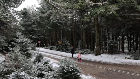 Σκληρό πόκερ για τη Γροιλανδία: Αποφασισμένοι να απαντήσουν στους εκβιασμούς Τραμπ οι Ευρωπαίοι – To ΕΡΤnews στο Νουούκ