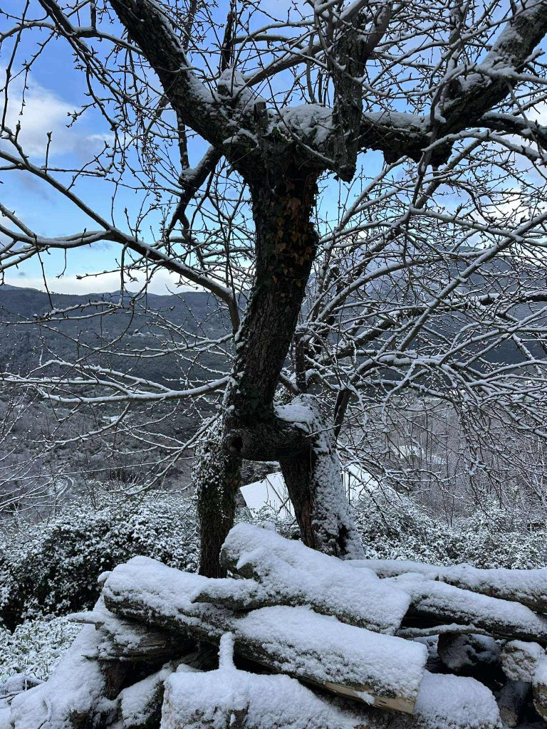 Στα λευκά ντύθηκαν τα «πισινοχώρια» του Ταϋγέτου