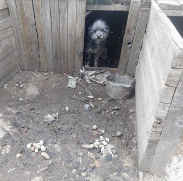 Ορίστηκε κι επίσημα νέος Διοικητής στο Νοσοκομείο Ρεθύμνου, Γ. Παπακωνσταντής