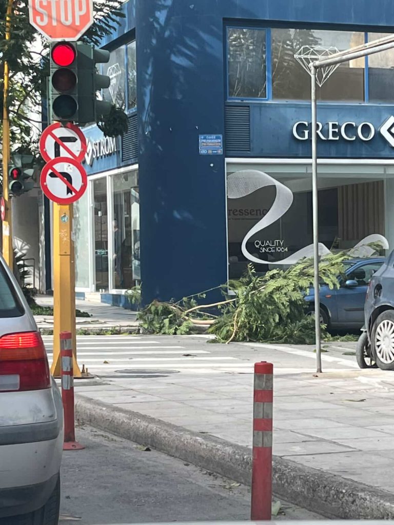 Ισχυροί νοτιάδες «σαρώνουν» την Κρήτη και ρίχνουν δέντρα και κλαδιά – Έκτακτη ανακοίνωση της Περιφέρειας για τη σκόνη (photos)