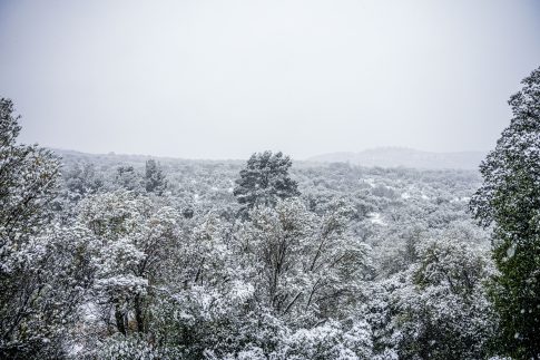 <strong>Εντοπίστηκε νεκρός ένας άνδρας στις γραμμές του ΗΣΑΠ – Προσωρινά εκτός λειτουργίας οι σταθμοί «Περισσός» και «Πευκάκια»</strong>