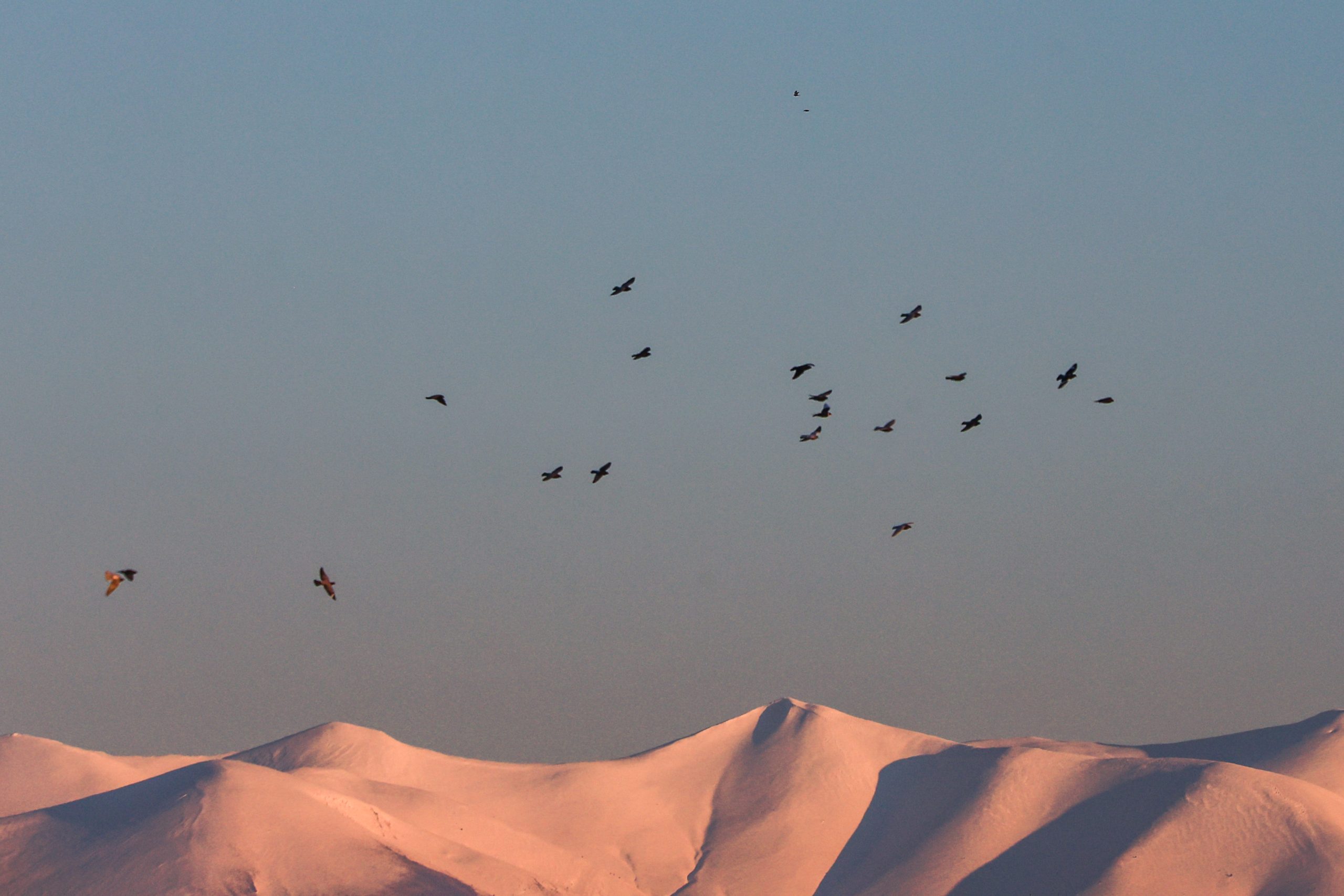 Καιρός: Επέλαση πολικού ψύχους μικρής διάρκειας  με χιονοπτώσεις και στα ημιορεινά – Πού είναι κλειστά τα σχολεία