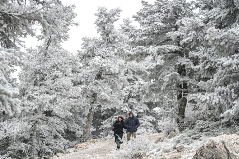 Κύμα πολικού ψύχους σαρώνει τη χώρα: Πού θα χιονίσει τις επόμενες ώρες και πότε αναμένεται βελτίωση