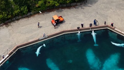 «Βιολάντα»: Εντοπίστηκε και η πέμπτη σορός στα συντρίμμια της φονικής έκρηξης