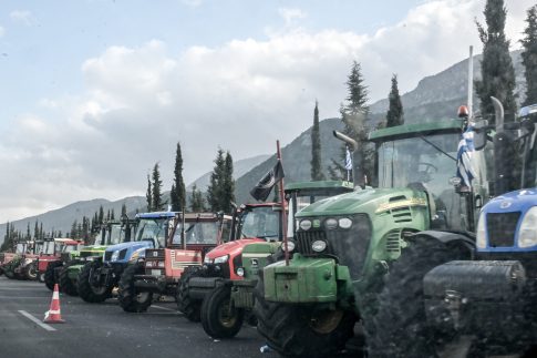 «Θαλής 2025»: 135 μαθητές της Μαγνησίας διακρίθηκαν στον διαγωνισμό Μαθηματικών