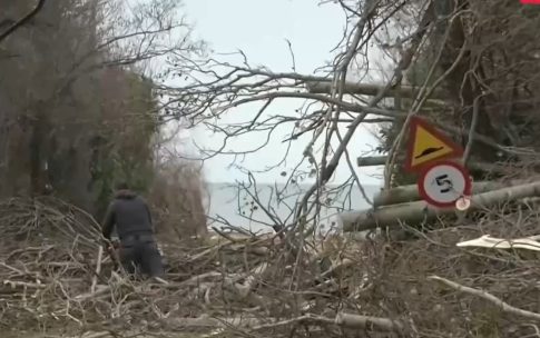 Τα οφέλη της άσκησης στην πρόληψη και βελτίωση της υγείας