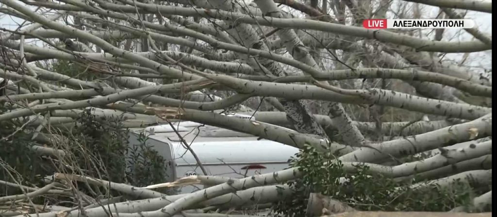 “Σάρωσε” την Αλεξανδρούπολη ο ανεμοστρόβιλος: Τροχόσπιτα καταστράφηκαν από πτώσεις δέντρων – Ξεκίνησαν οι δηλώσεις ζημιών