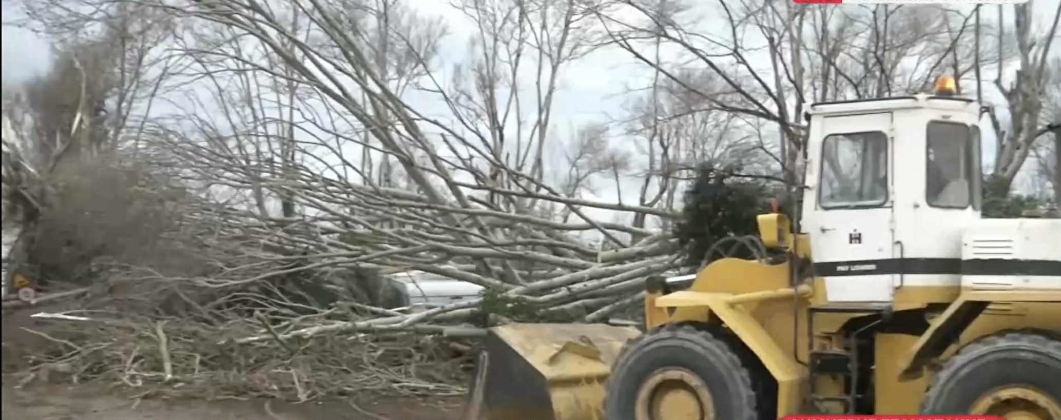 “Σάρωσε” την Αλεξανδρούπολη ο ανεμοστρόβιλος: Τροχόσπιτα καταστράφηκαν από πτώσεις δέντρων – Ξεκίνησαν οι δηλώσεις ζημιών