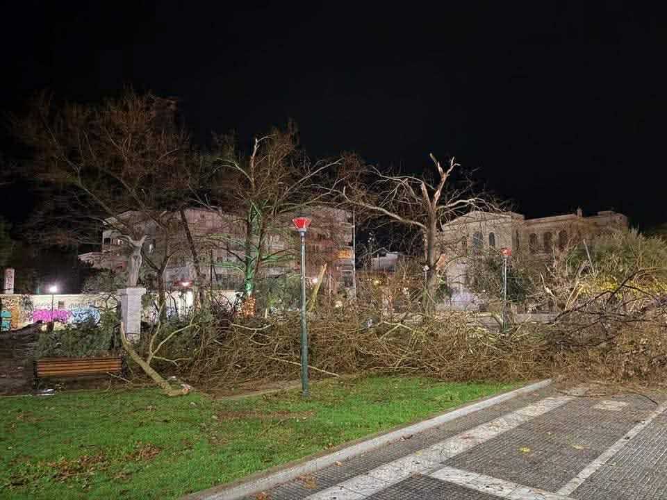 Αλεξανδρούπολη: Ανεμοστρόβιλος με ριπή 154.5 χλμ. σάρωσε το κέντρο της πόλης – Επεσαν δέντρα, αναποδογύρισαν εκπαιδευτικά αεροσκάφη, βάρκες βγήκαν στη στεριά