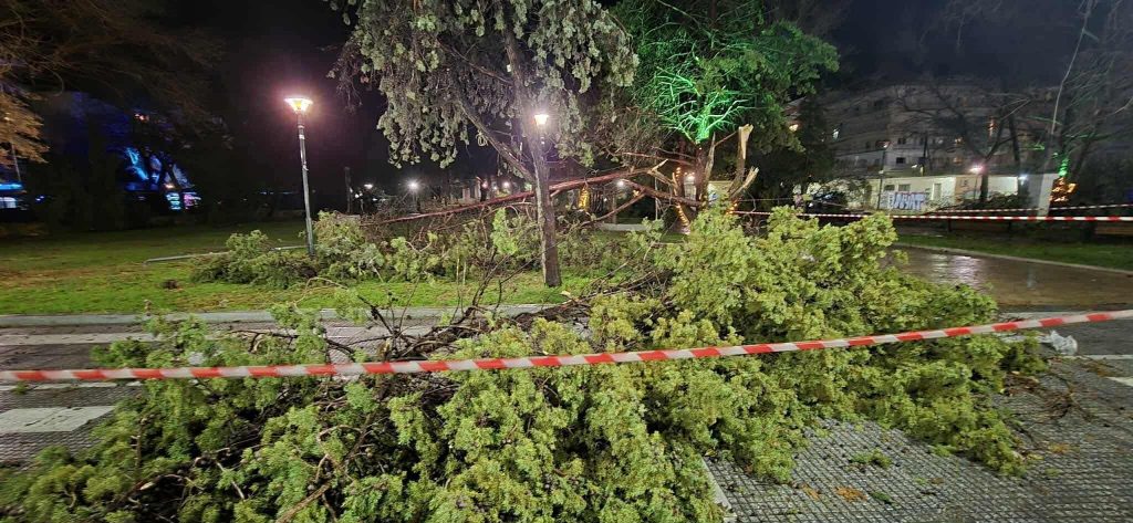 Αλεξανδρούπολη: Ανεμοστρόβιλος με ριπή 154.5 χλμ. σάρωσε το κέντρο της πόλης – Επεσαν δέντρα, αναποδογύρισαν εκπαιδευτικά αεροσκάφη, βάρκες βγήκαν στη στεριά