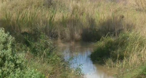 Αμαλιάδα:  Η 23<sup>η </sup>Πανελλήνια Λαμπαδηδρομία Εθελοντών Αιμοδοτών