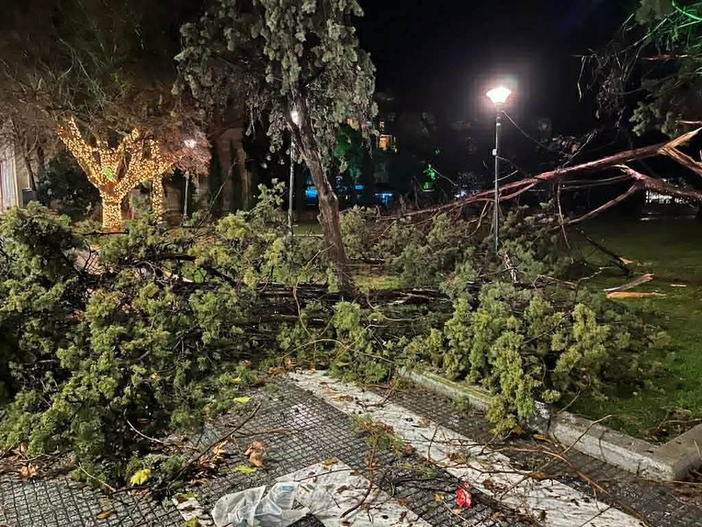 Αλεξανδρούπολη: Ανεμοστρόβιλος με ριπή 154.5 χλμ. σάρωσε το κέντρο της πόλης – Επεσαν δέντρα, αναποδογύρισαν εκπαιδευτικά αεροσκάφη, βάρκες βγήκαν στη στεριά