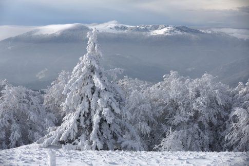 Ξεκινά την Τετάρτη η πανελλαδική απεργία στις λαϊκές αγορές – Τα ζητήματα που απασχολούν τον κλάδο