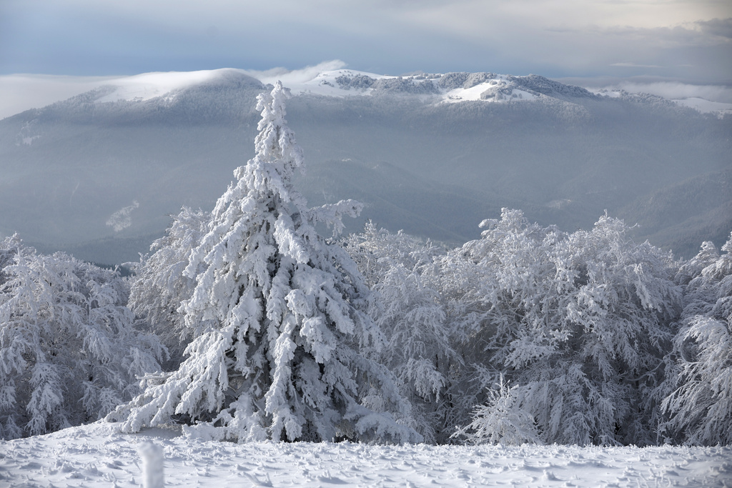 Χιόνια και παγετός σαρώνουν την Ευρώπη – Θανατηφόρα δυστυχήματα, ακυρώσεις πτήσεων και χάος στις μετακινήσεις