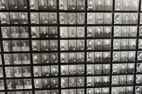 Επιτυχίες στο <strong>Kickboxing</strong> για την Combat Team Tripolis στον Πειραιά